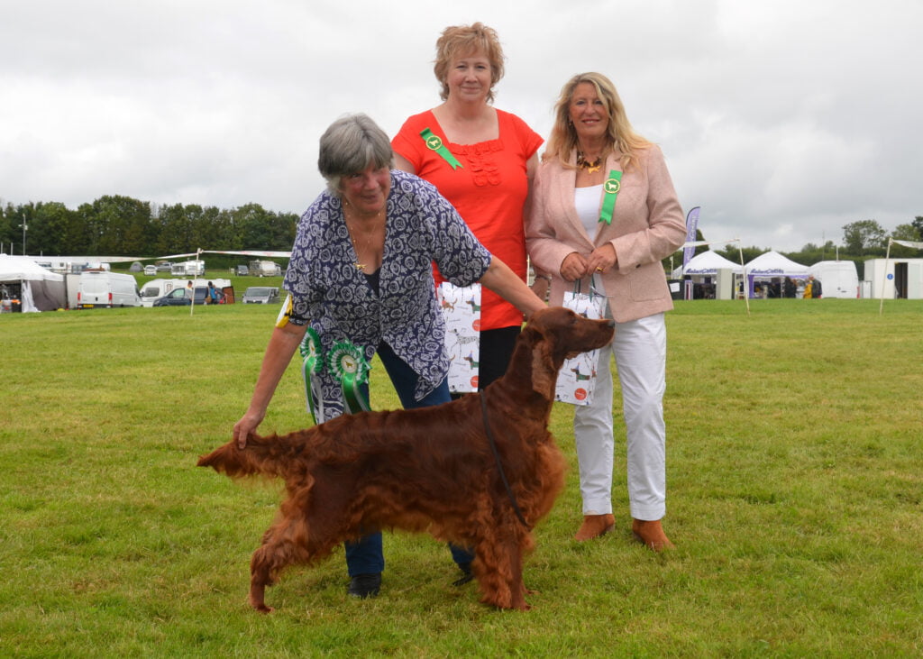 Joint Irish Setter Breed Clubs SEISC Hosted SEISC