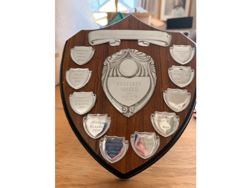 Foxfleet Shield and rear Puppy Bitch presented by Mrs E Turner